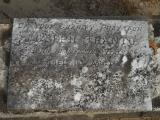 image of grave number 499558
